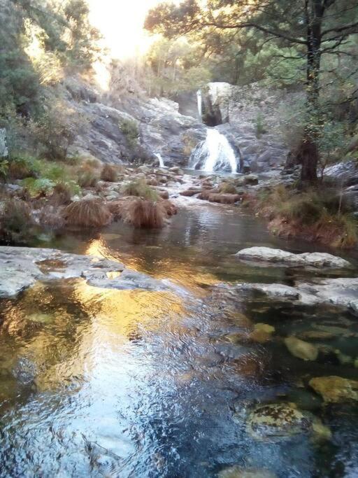 Viana Do Castelo - Amonde Village -Casa A * Relax מראה חיצוני תמונה