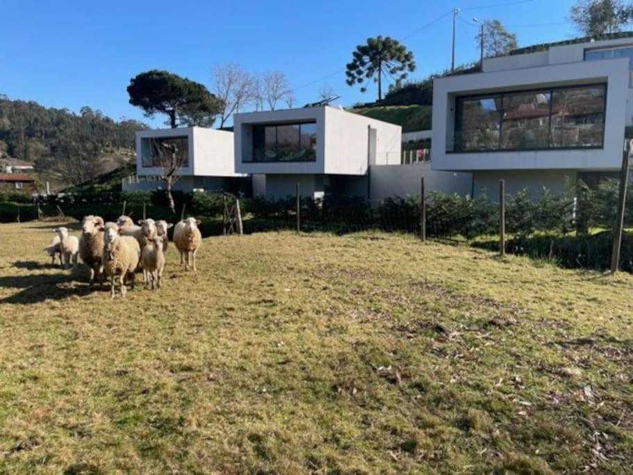 Viana Do Castelo - Amonde Village -Casa A * Relax מראה חיצוני תמונה