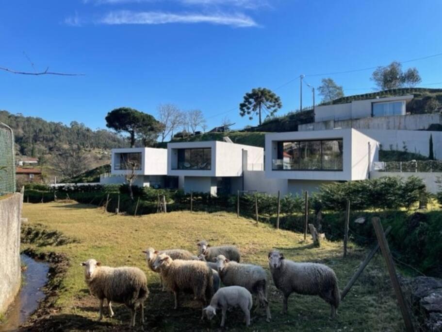 Viana Do Castelo - Amonde Village -Casa A * Relax מראה חיצוני תמונה